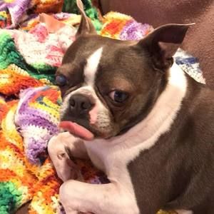 Meet your Posher, Marcella